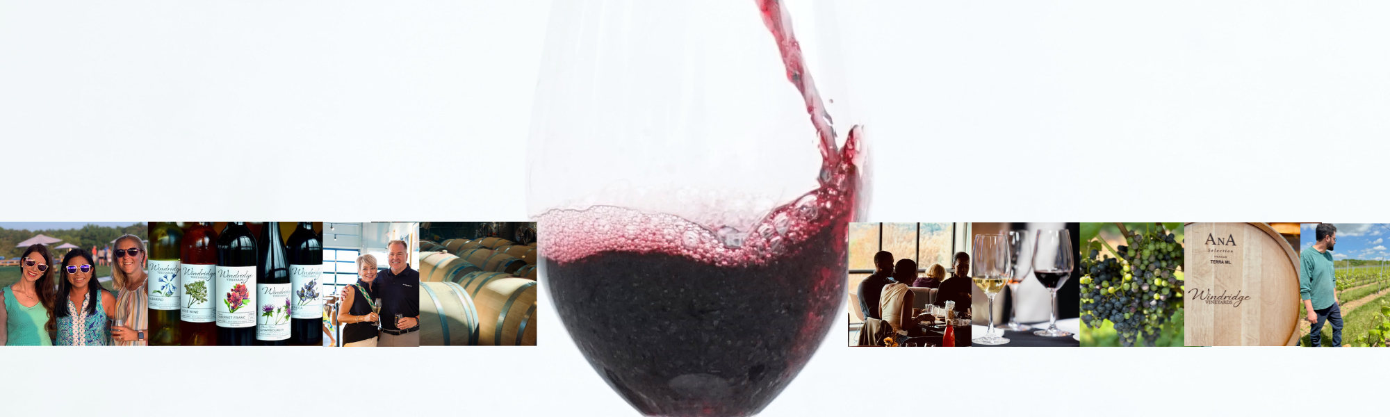 Wine Club
