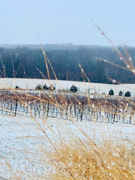 Winter Storm Closure, January 25